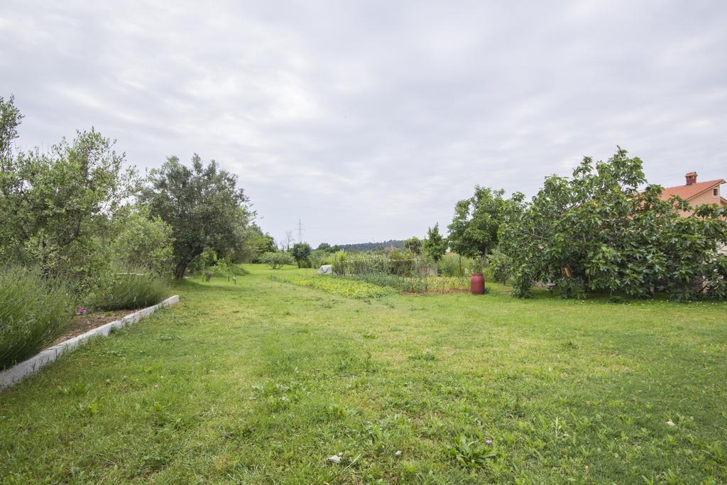 Pula Istria Apartments Bagian luar foto