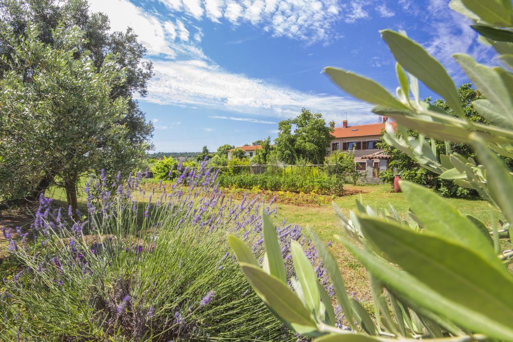 Pula Istria Apartments Bagian luar foto